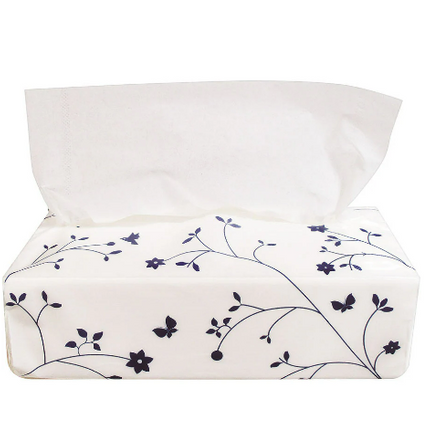 【120パック入れ】ソフトパックティッシュ　１ケースから直送！！