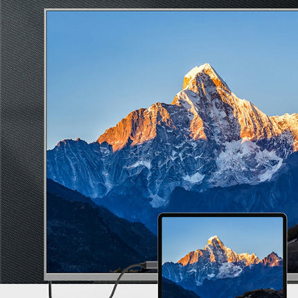 Ewise HDMI変換 アダプター [ HDMI VGA 同時出力 高解像度 1080p ] Type-c to HDMI VGA 変換 アダプタ ケーブル 変換アダプター typec [ macbook pro air / ipad / surface Go / Galaxy S10 対応 ] iPad 2021非対応