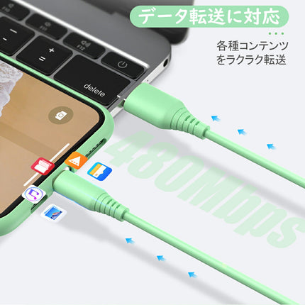 EWISE iPhone 充電ケーブル ライトニングケーブル micro usb ケーブル Lightningケーブル USB c TypeC タイプc 充電ケーブル 1m 2.4A アイホン充電ケーブル 急速充電 データ転送 充電器 充電機 シリコン製 iPhone用 純正 品質