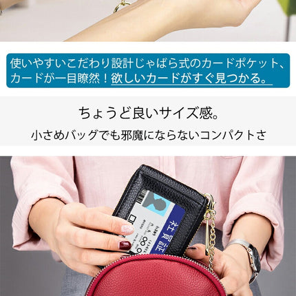 カードケース レディース メンズ 財布 ミニ財布 定期入れ パスケース パス入れ コンパクト キーホルダー クリア窓付き外ポケット IDカード や 交通ICカード の収納 母の日 父の日 誕生日 就職祝い 入社祝い 入学祝い プレゼント にもピッタリ