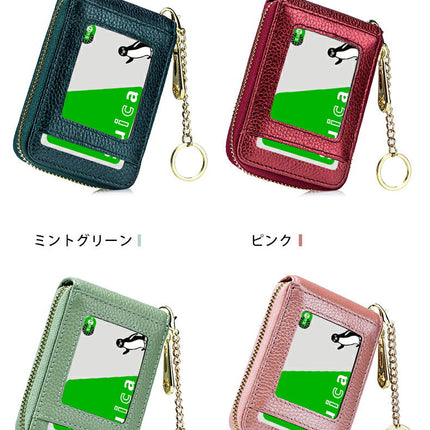 カードケース レディース メンズ 財布 ミニ財布 定期入れ パスケース パス入れ コンパクト キーホルダー クリア窓付き外ポケット IDカード や 交通ICカード の収納 母の日 父の日 誕生日 就職祝い 入社祝い 入学祝い プレゼント にもピッタリ