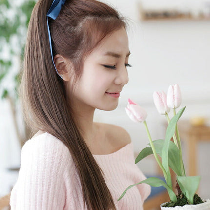 ウイッグ|ポニーテール|ウィッグ|ストレート| ポニーテール/ ポイント/ウイッグ /ウィッグ//ストレート